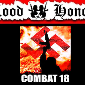 Combat 18 Blood and Honour Flag